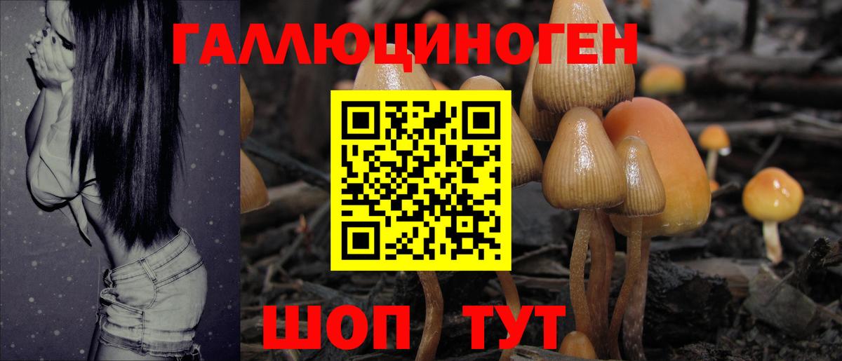 Евпатория  Галлюциногенные грибы Psilocybine cubensis  Псилоцибиновые грибы Psilocybe  Вход с VPN 